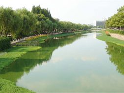 生态修复
